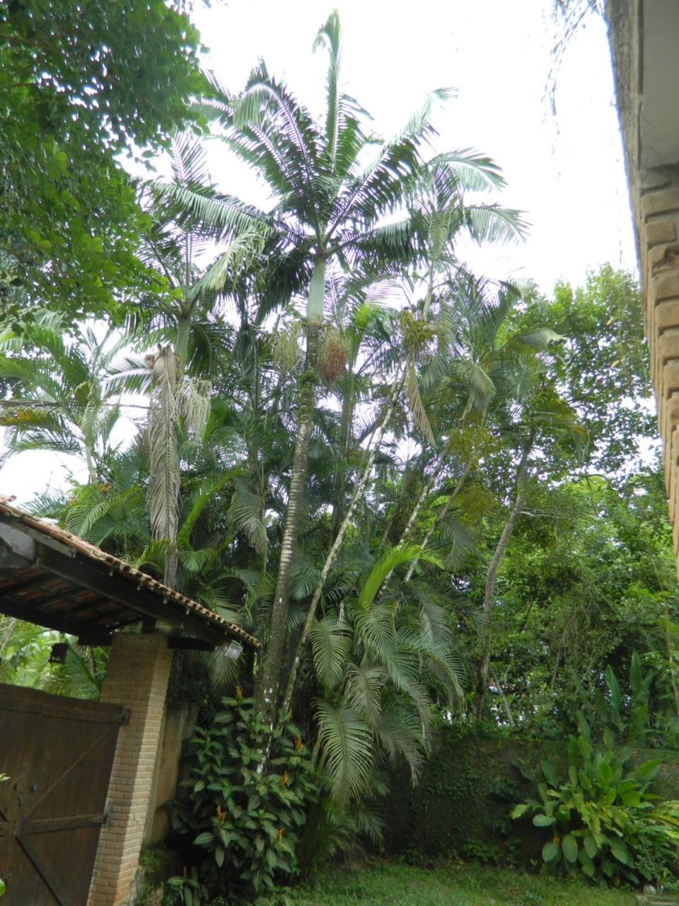 Solar Das Canoas Prumirim อูบาตูบา ภายนอก รูปภาพ